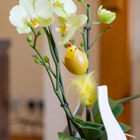 Σπίτι διακοπών Cois Chnoic