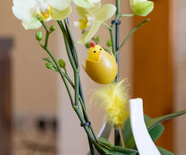 Prázdninový dům Cois Chnoic